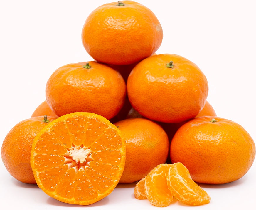 Tangerines/Baby Mandarin (Pkt) 小橘子 [Country South Africa/Egypt/China
