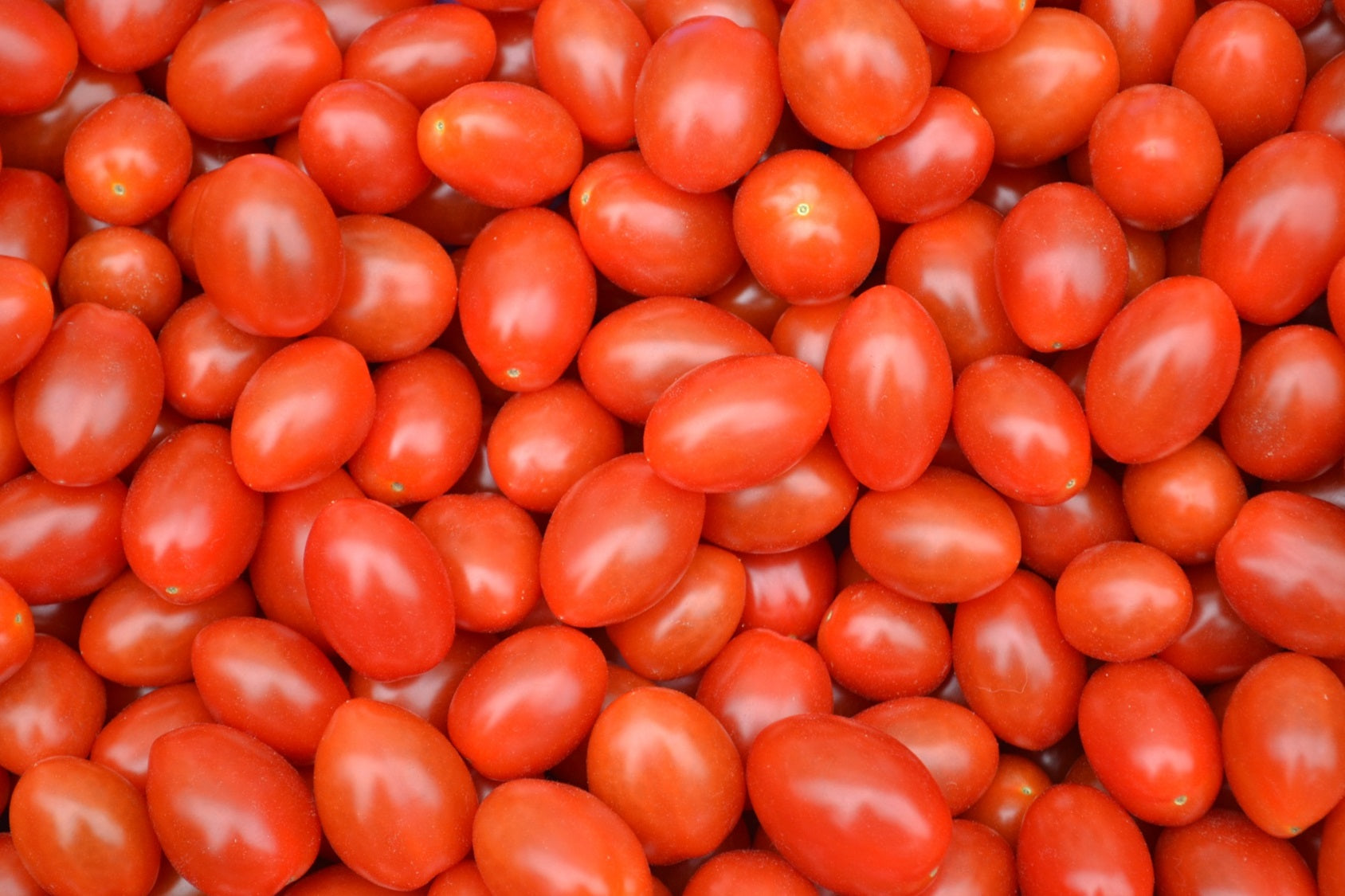 Tomato Cherry (Kg) 小番茄 [Country: Malaysia]