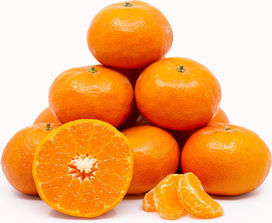 Tangerines/Baby Mandarin (Pkt) 小橘子 [Country: South Africa/Egypt/China/Israel]