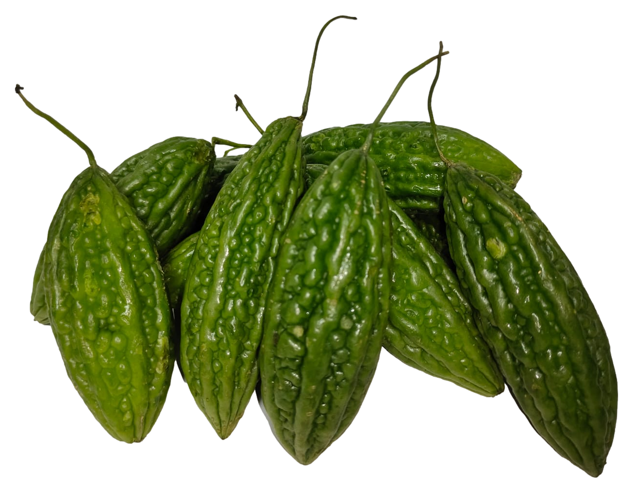 Bitter Gourd Small (Kg) 小苦瓜 [Country: Malaysia]