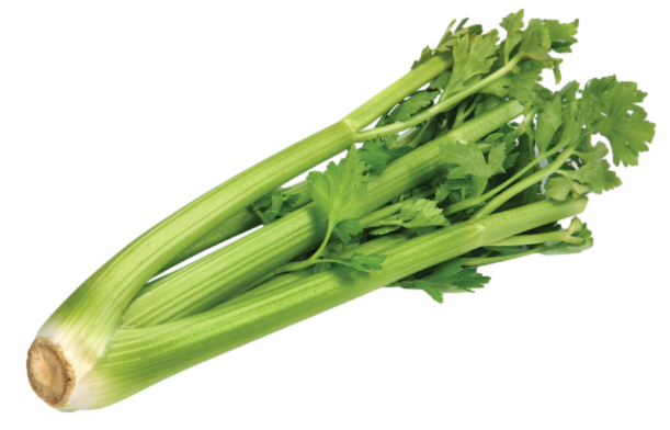 Celery (Pkt) 芹菜