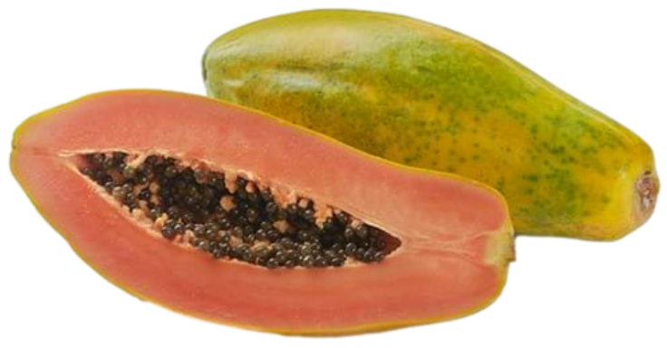 Papaya (Pcs) 木瓜 [Country: Malaysia]