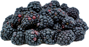 Blackberry (170gm/Pun) 黑莓 [Country: USA]