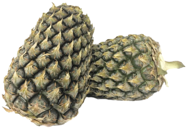 Pineapple (Pcs) 黄梨 [Country: Malaysia]