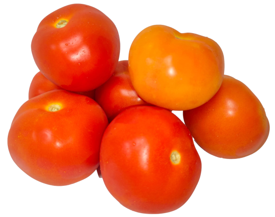 Tomato Local (Kg) 番茄 [Country: Malaysia]