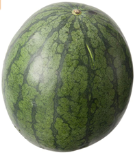 Watermelon Red Seedless (4-5kg/Pcs) 红西瓜 [Country: Malaysia]